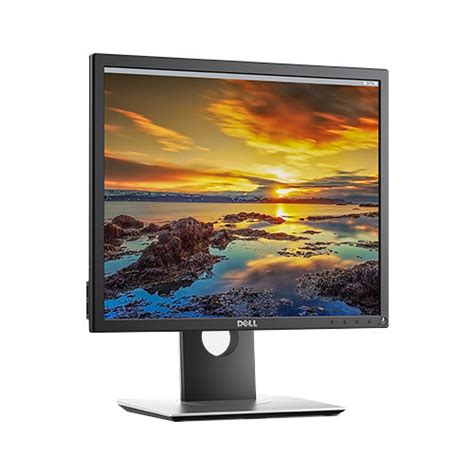 Dell P1917S 19" 5:4 IPS Monitor P1917S B&H Photo Video