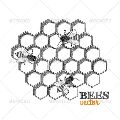 Honey bees and honeycomb isolated vector illustration. Editable EPS and Render in JPG format ...