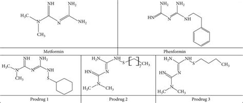 Chemical structure of biguanide derivatives: metformin, phenformin, and... | Download Scientific ...