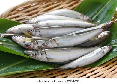 1,283 Ayu fish Images, Stock Photos & Vectors | Shutterstock