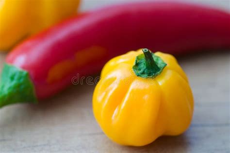 Yellow Chilli stock photo. Image of pepper, selective - 14747974