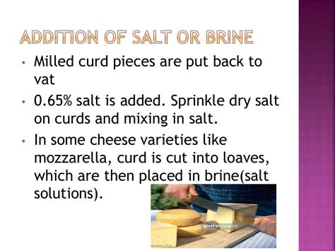 Fermentation of cheese (1)