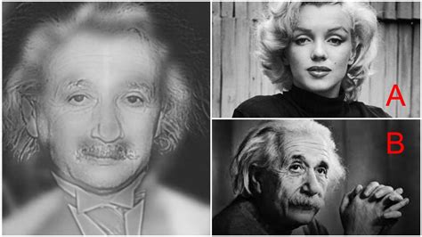 Do You See Marilyn Monroe or Albert Einstein? This Reveals How Good Your Eyesight Is Photography ...
