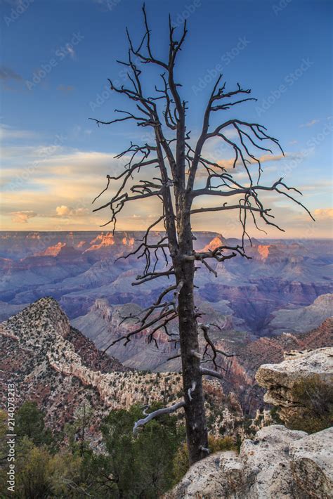 Sunrise at Mather Point, Grand Canyon National Park, Arizona. Photo ...