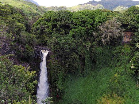 Hawaii Waterfall Tropical - Free photo on Pixabay