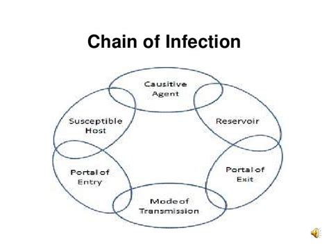 Chain of infection