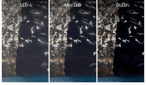 LED vs QLED vs OLED TVs, What’s the Difference? - The Plug - HelloTech