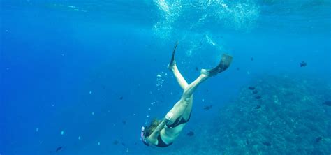 Half-Day Lanai Snorkeling Tours | Lanai Snorkeling Cruises