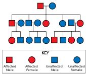 Huntington's disease - Wikipedia