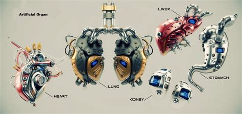 The Surprising Future Of Artificial Organ