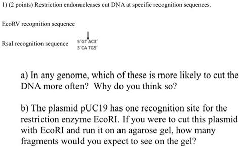 SOLVED:1) (2 points) Restriction endonucleases cut DNA at specific recognition sequences. EcoRV ...