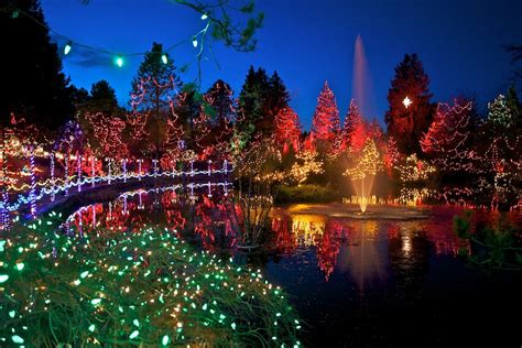 Lights, camera, and selfie: VanDusen Botanical Garden reflects the times with its Festival of ...