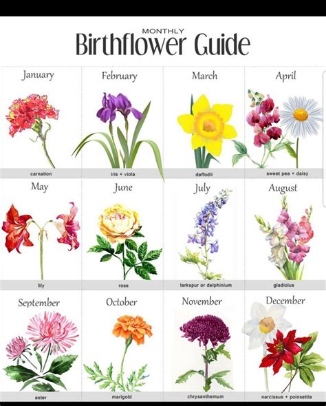 Birth month flower chart for tattoos :) | Birth flower tattoos, Birth ...