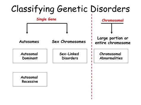 PPT - Classifying Genetic Disorders PowerPoint Presentation, free download - ID:3727211