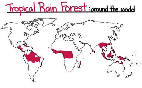 Africa Rainforest Map