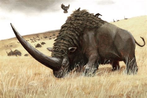 76 best Elasmotherium images on Pholder | Naturewasmetal, Interestingasfuck and Pics