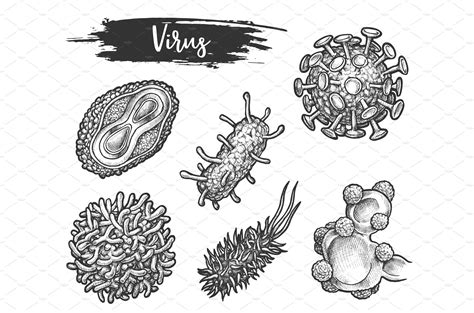 Isolated sketch of virus cell types | Graphic Objects ~ Creative Market