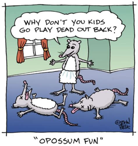 Opossum Fun By JohnBellArt | Nature Cartoon | TOONPOOL