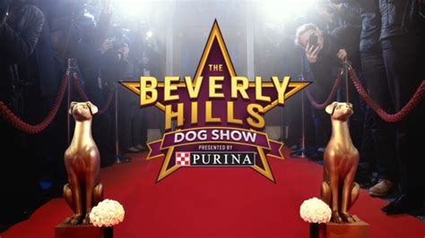 How to Watch 'The Beverly Hills Dog Show' Live Online - TechNadu