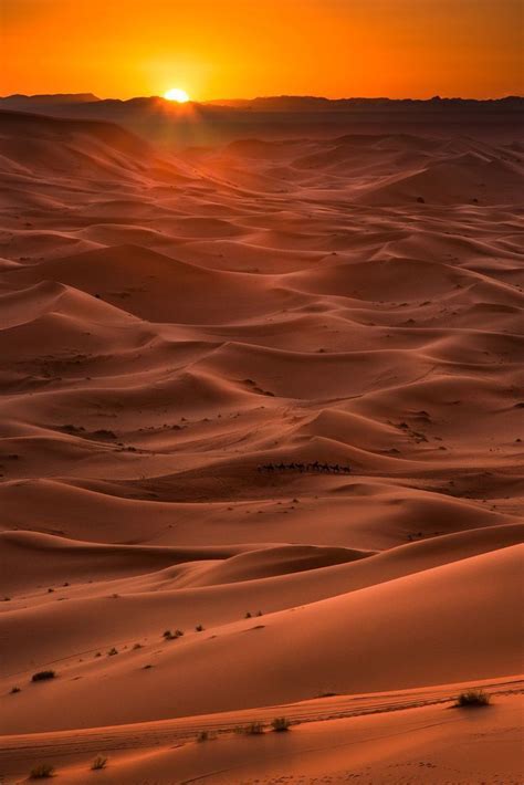 The sun setting over the Sahara desert in Morocco. | Desert photography, Desert aesthetic ...