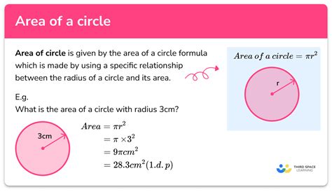 Area Of A Circle - GCSE Maths - Steps, Examples & Worksheet