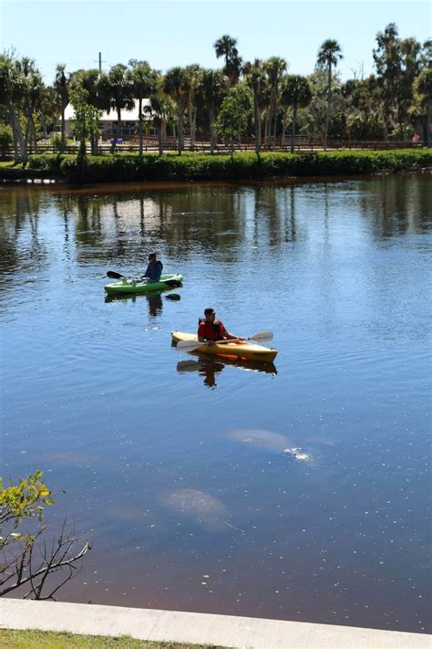 Manatee Park in Fort Myers is a Great Place to See Manatees | Must Do ...