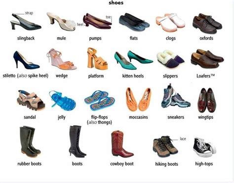 Types of Shoes Vocabulary in English: 50+ items Illustrated | English ...