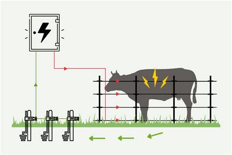 Solar Electric Fence for Cattle: Harnessing the Sun to Safeguard ...