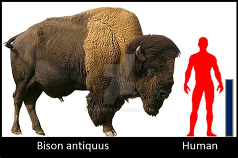 Bison antiquus by Homero13 on DeviantArt