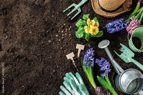 Spring garden works. Gardening tools and flowers on soil. Stock Photo | Adobe Stock