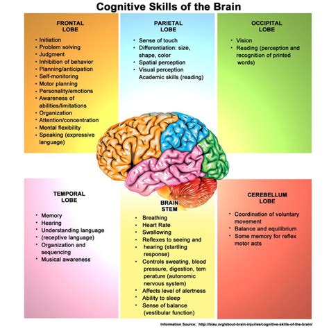 Pin on cognitive development