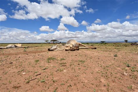 Drought in Ethiopia: “This is a climate crisis” | by Tuva Raanes ...