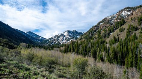 Learn About the Wild West Trail- America's Wildest Hike