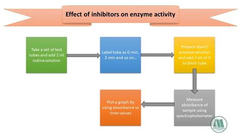 Effect of Inhibitors on Enzyme Activity - Labmonk