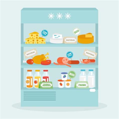 Food In Fridge Collection 463164 Vector Art at Vecteezy