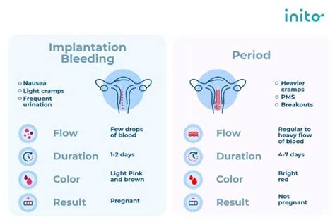 IMPLANTATION BLEEDING PART 2 – THISDAYLIVE