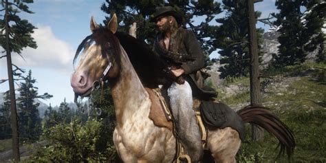 Red Dead Redemption 2: How To Get A Missouri Fox Trotter Horse