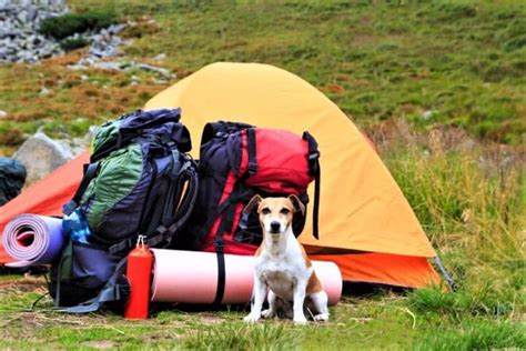 The Best 2 Person Backpacking Tents for 2021 - Exploration Solo