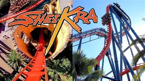 Riding the AWESOME SheiKra Roller Coaster at Busch Gardens Tampa ...