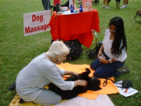 dog massage | MBK (Marjie) | Flickr