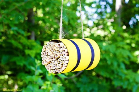 Bee Habitat - Tree House Learning