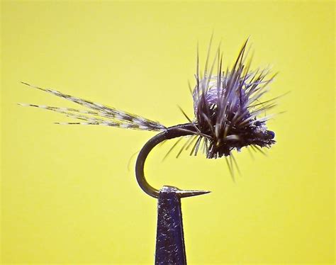 Midge Patterns | PlanetTrout