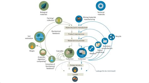 The circular economy concept, explained