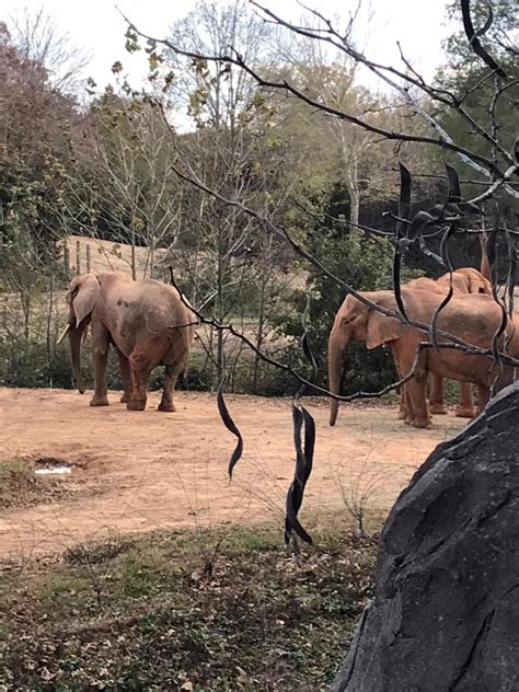 A Visit to North Carolina Zoo – Carolina Mom