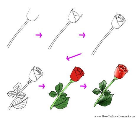 Simple Rose Drawing Tutorial at GetDrawings | Free download