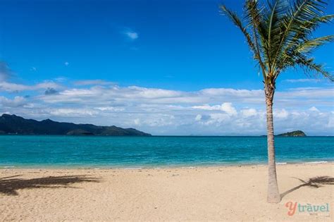 Staying At The Luxurious Intercontinental Hayman Island Resort, Whitsundays: An Honest Review