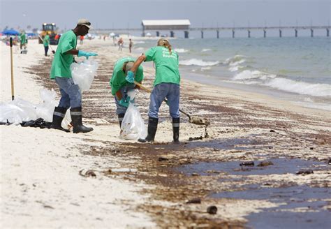 Oil spill cleanup in Baldwin County could be mostly mechanized | AL.com