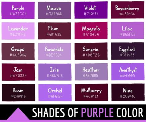 Shades of Purple | Purple colour shades, Purple color chart, Purple ...