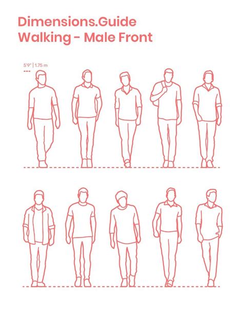 Walking Males - Front | Human sketch, Posture drawing, Drawing people