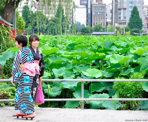 Ueno Lotus Pond